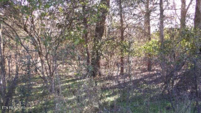 Lot 1 Macedonia Road Castalian Springs, TN 37031 - Photo 31 of 48 100_0045