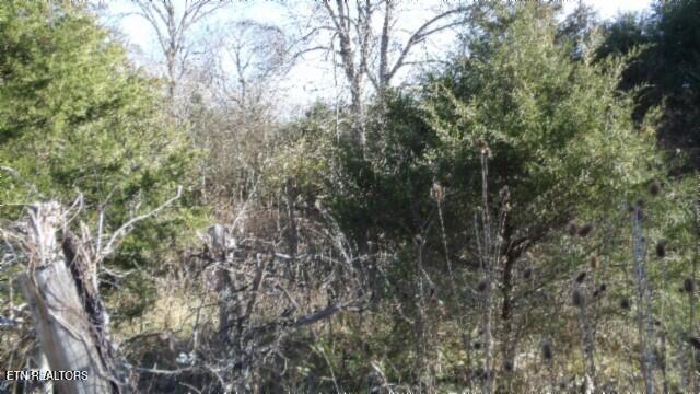 Lot 1 Macedonia Road Castalian Springs, TN 37031 - Photo 32 of 48 100_0050