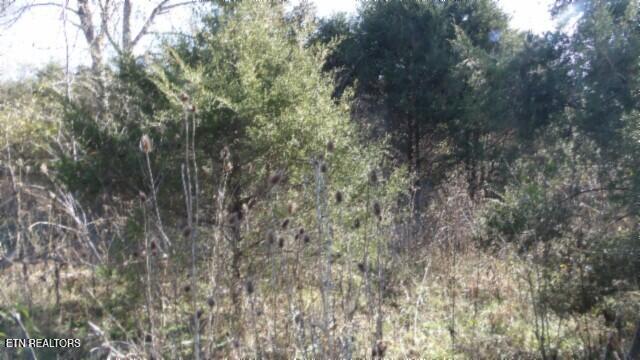 Lot 1 Macedonia Road Castalian Springs, TN 37031 - Photo 33 of 48 100_0051