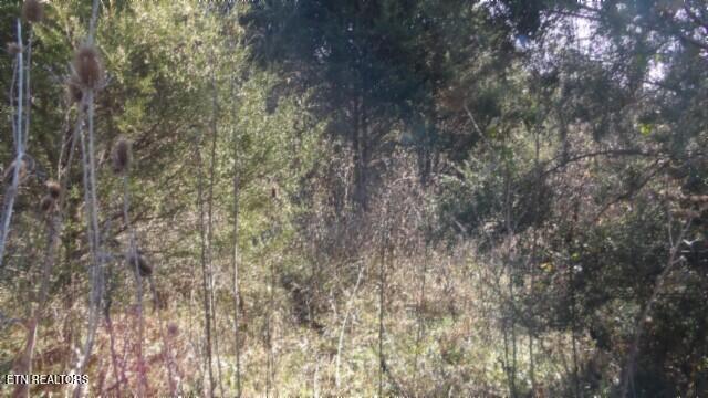 Lot 1 Macedonia Road Castalian Springs, TN 37031 - Photo 34 of 48 100_0052