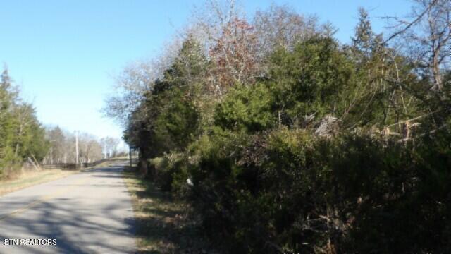 Lot 1 Macedonia Road Castalian Springs, TN 37031 - Photo 37 of 48 100_0004