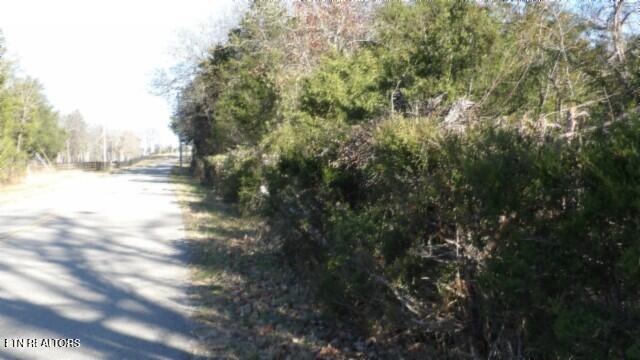 Lot 1 Macedonia Road Castalian Springs, TN 37031 - Photo 38 of 48 100_0003