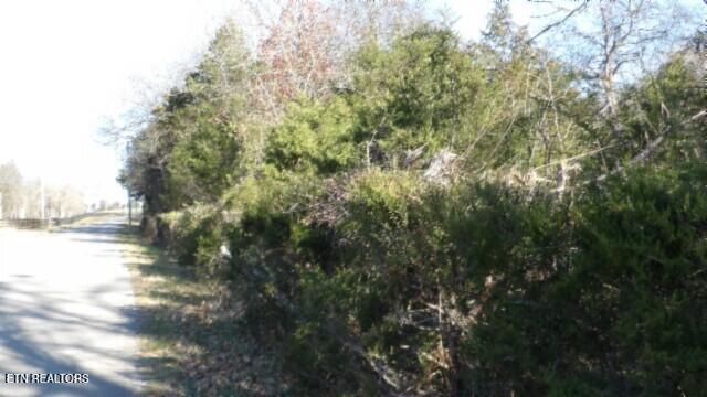 Lot 1 Macedonia Road Castalian Springs, TN 37031 - Photo 44 of 48 100_0005