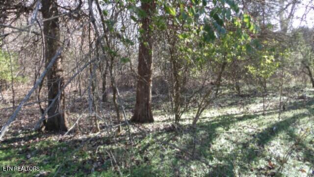 Lot 1 Macedonia Road Castalian Springs, TN 37031 - Photo 9 of 48 100_0015