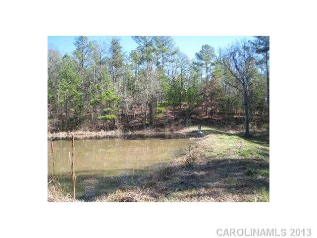 74-ac Pearson Road Blair, SC 29015 - Photo 1 of 11 Gallery Image 1