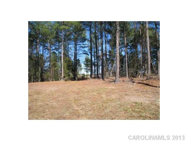 74-ac Pearson Road Blair, SC 29015 - Photo 2 of 11 Gallery Image 2