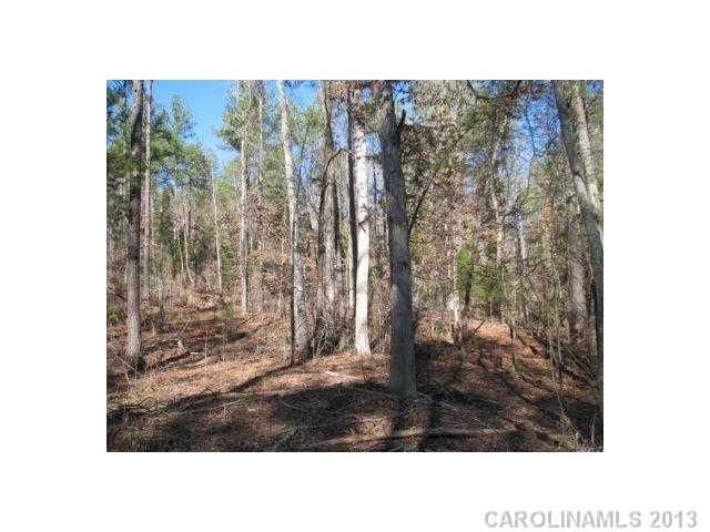 74-ac Pearson Road Blair, SC 29015 - Photo 11 of 11 Gallery Image 11