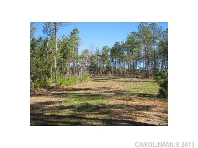 74-ac Pearson Road Blair, SC 29015 - Photo 4 of 11 Gallery Image 4
