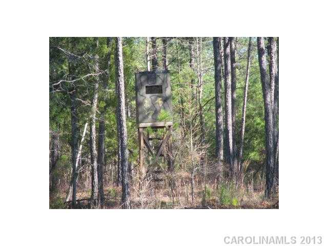 74-ac Pearson Road Blair, SC 29015 - Photo 5 of 11 Gallery Image 5