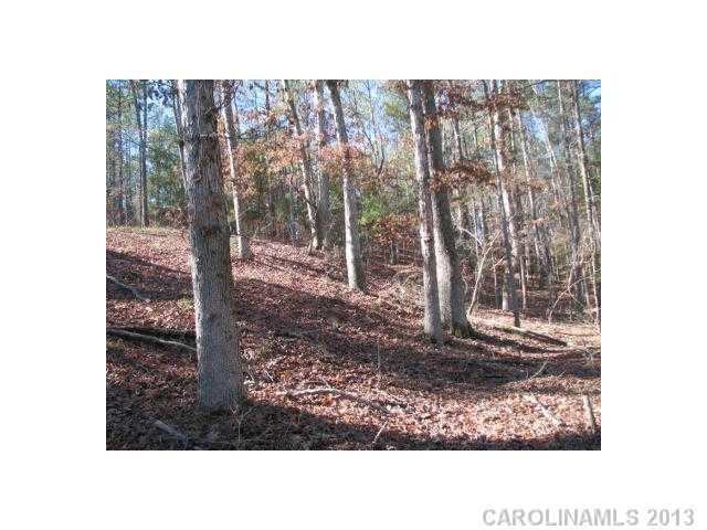 74-ac Pearson Road Blair, SC 29015 - Photo 6 of 11 Gallery Image 6