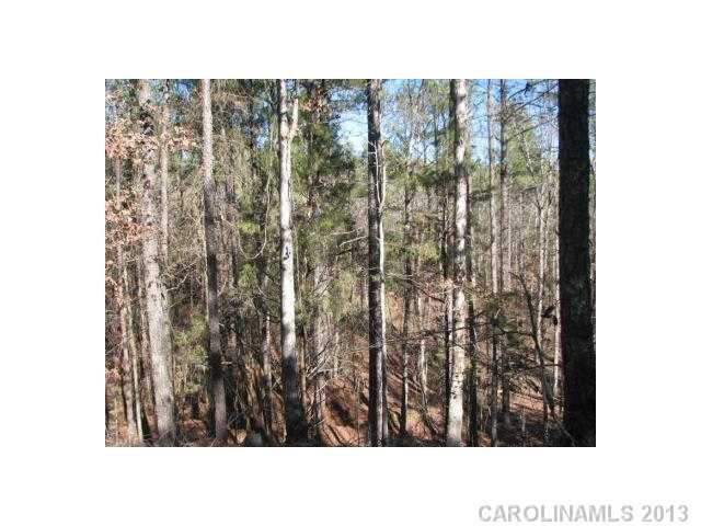 74-ac Pearson Road Blair, SC 29015 - Photo 10 of 11 Gallery Image 10