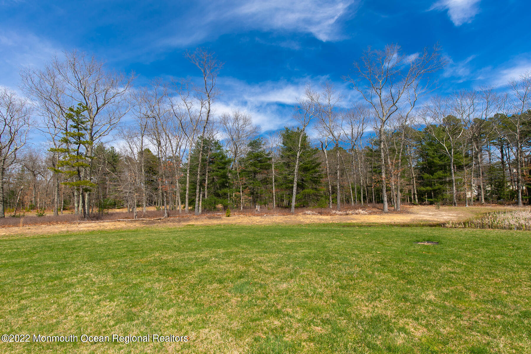 95 Obre Road Colts Neck, NJ 07722 - Photo 37 of 42 4M3A6050-047-020-1800x1200