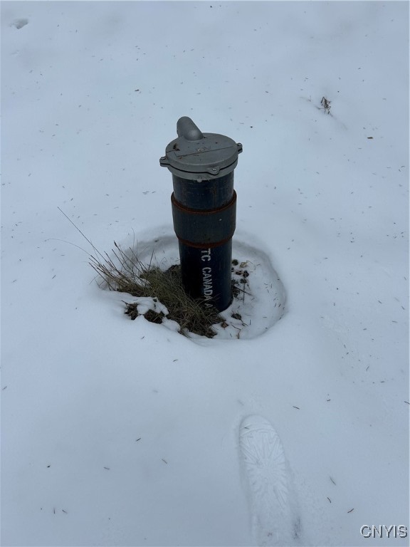 3023 West River Road Virgil, NY 13045 - Photo 2 of 8