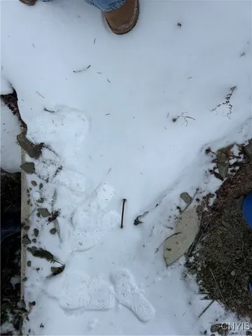 $65,000 | 3023 West River Road, Virgil, NY 13045