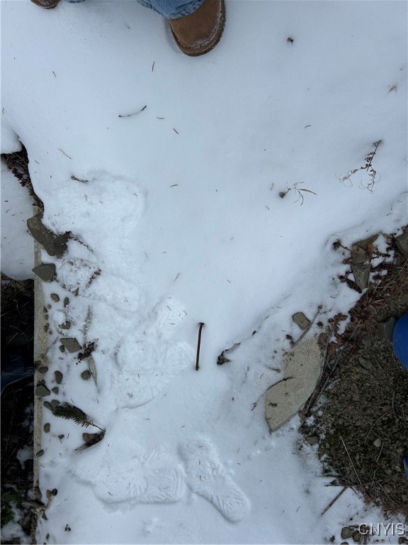 3023 West River Road Virgil, NY 13045 - Photo 3 of 8