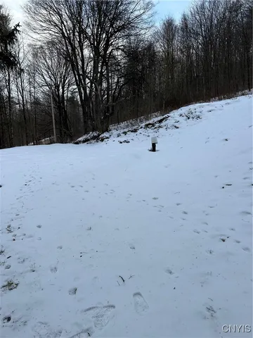 $65,000 | 3023 West River Road, Virgil, NY 13045