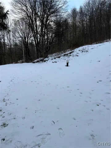 $65,000 | 3023 West River Road, Virgil, NY 13045