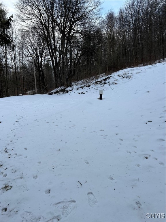 3023 West River Road Virgil, NY 13045 - Photo 4 of 8