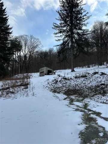 $65,000 | 3023 West River Road, Virgil, NY 13045