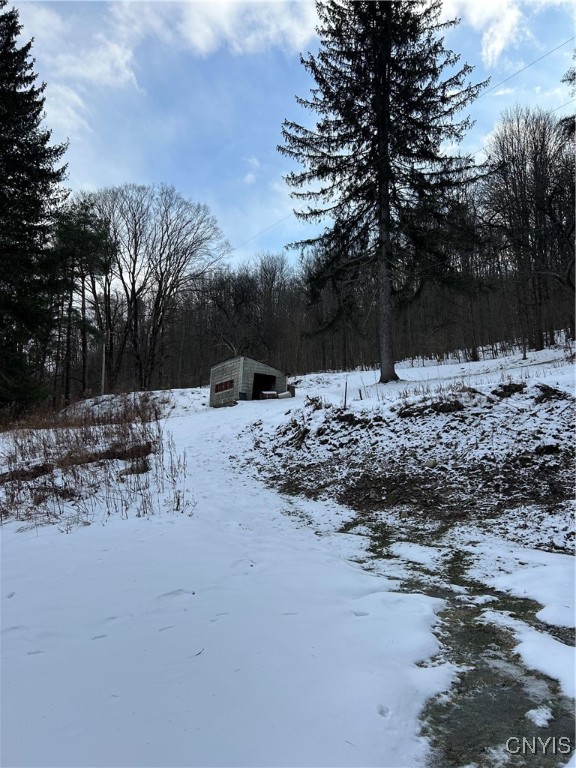 3023 West River Road Virgil, NY 13045 - Photo 5 of 8