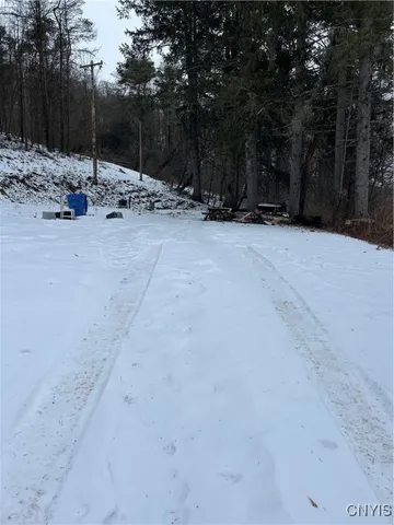 $65,000 | 3023 West River Road, Virgil, NY 13045