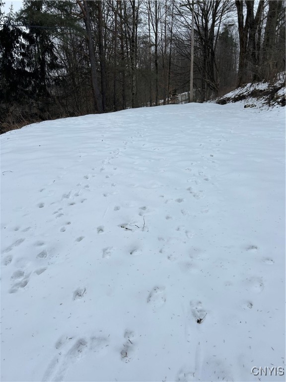 3023 West River Road Virgil, NY 13045 - Photo 7 of 8