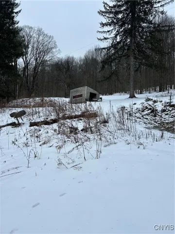 $65,000 | 3023 West River Road, Virgil, NY 13045