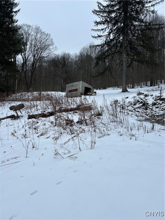 3023 West River Road Virgil, NY 13045 - Photo 8 of 8