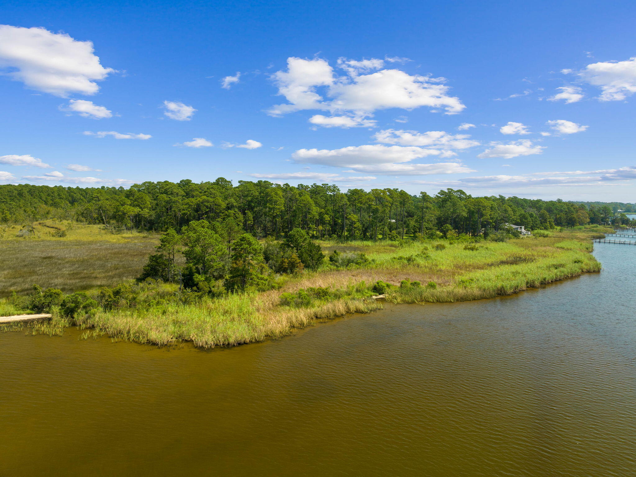 Tbd Shady Lane Freeport, FL 32439 - Photo 22 of 45 a view of a lake with a mountain