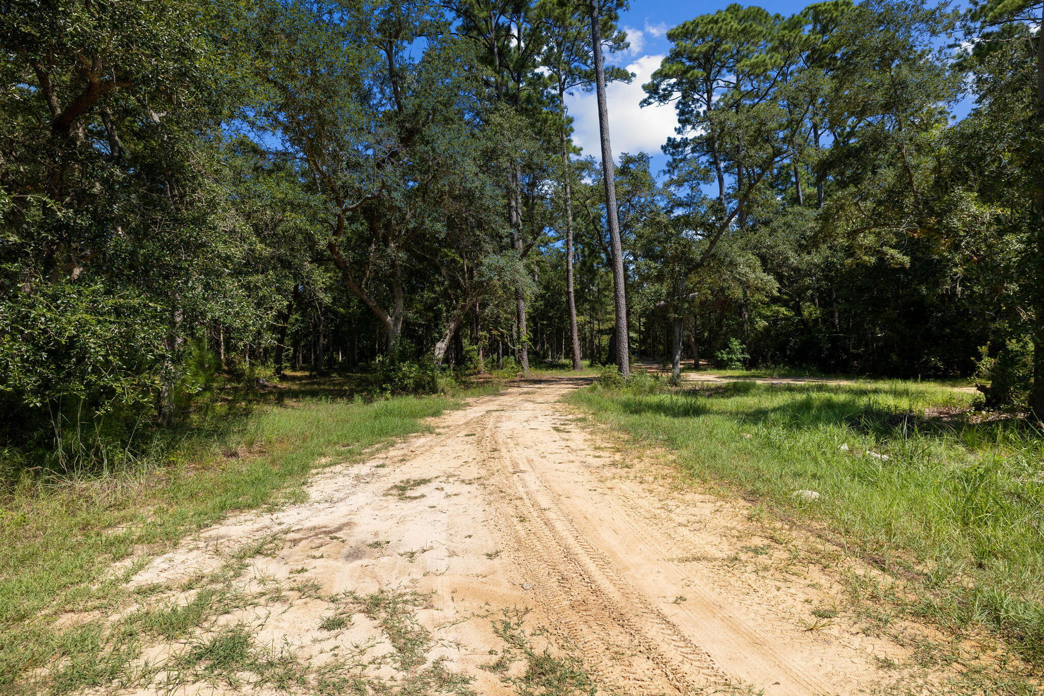 Tbd Shady Lane Freeport, FL 32439 - Photo 40 of 45 a view of a park with large trees