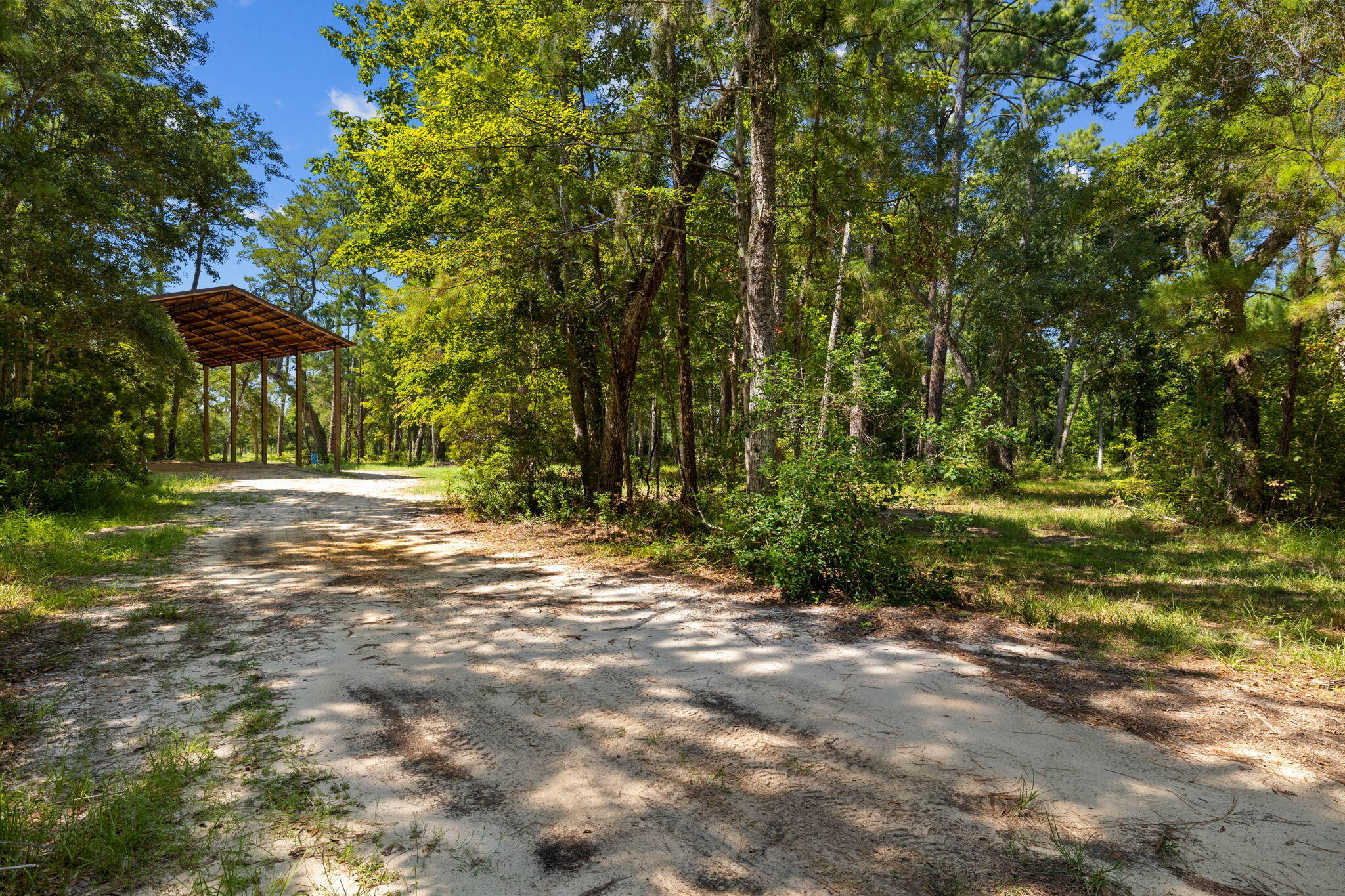 Tbd Shady Lane Freeport, FL 32439 - Photo 42 of 45 a view of outdoor space with trees