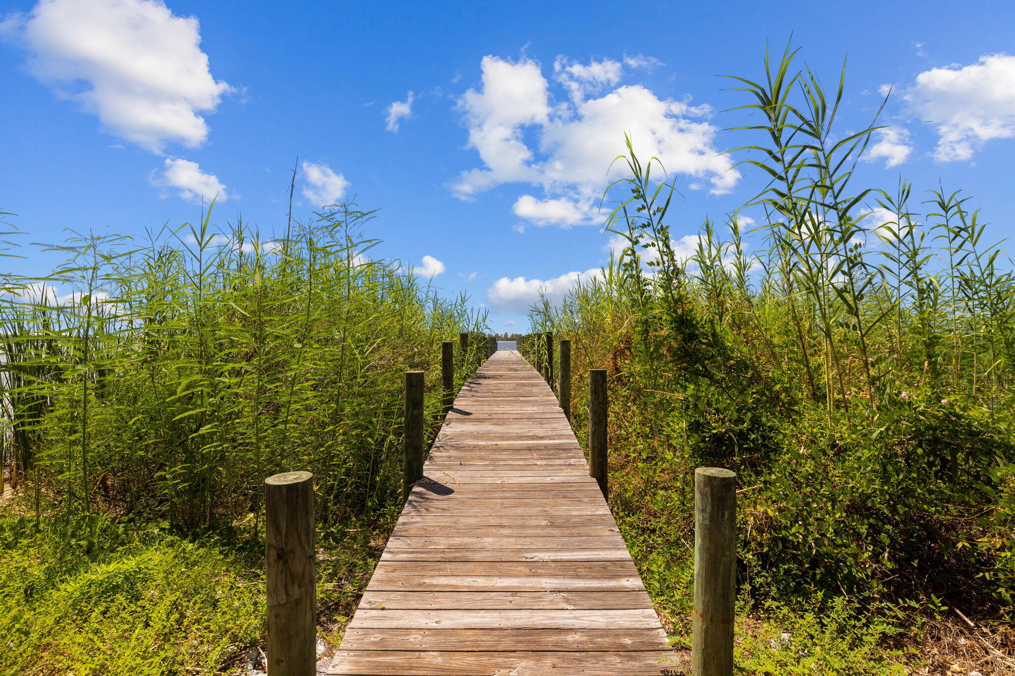 Tbd Shady Lane Freeport, FL 32439 - Photo 45 of 45 a view of a pathway of a house with a yard and potted plants