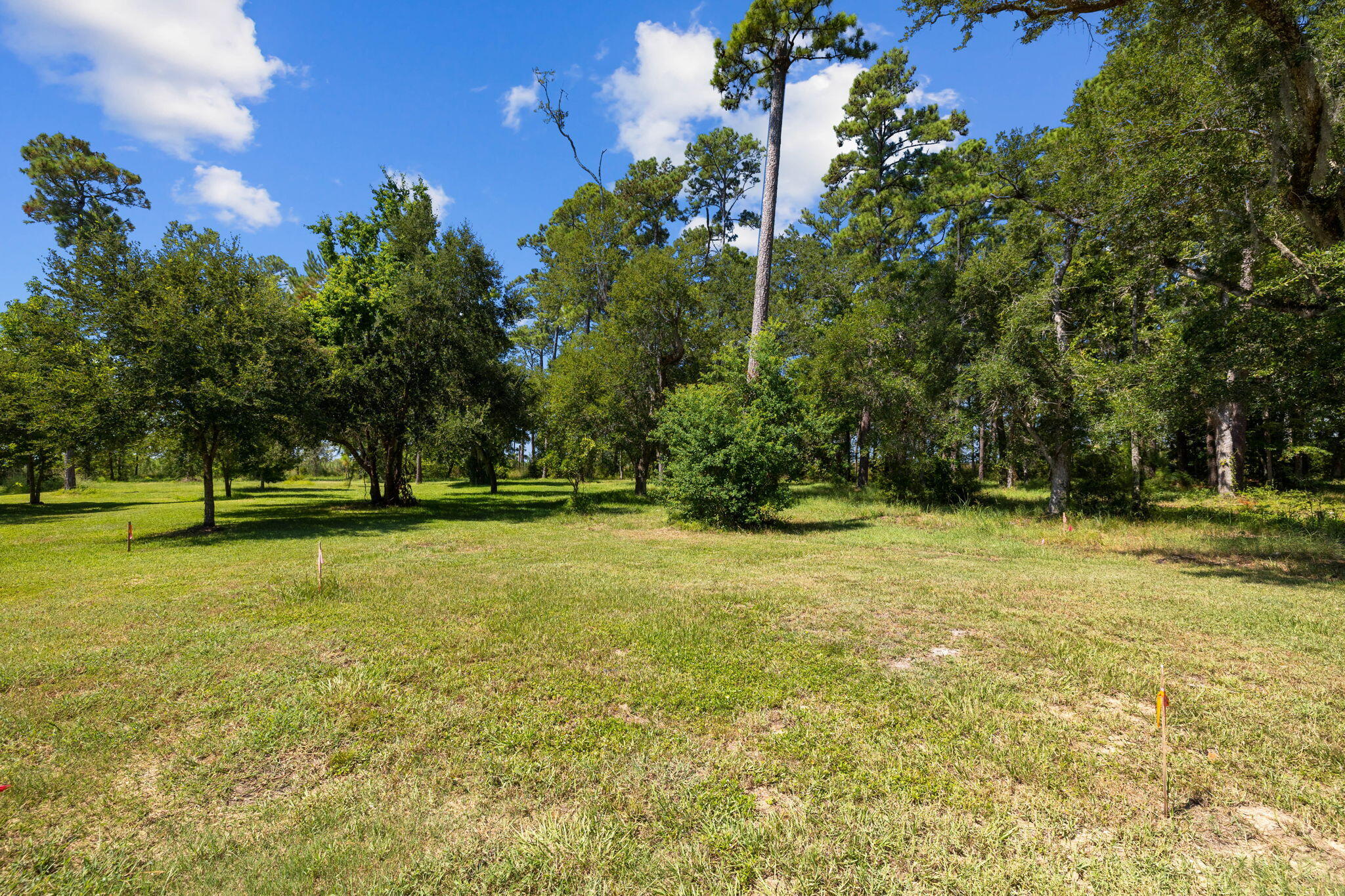 Tbd Shady Lane Freeport, FL 32439 - Photo 8 of 45 a view of a trees in a yard