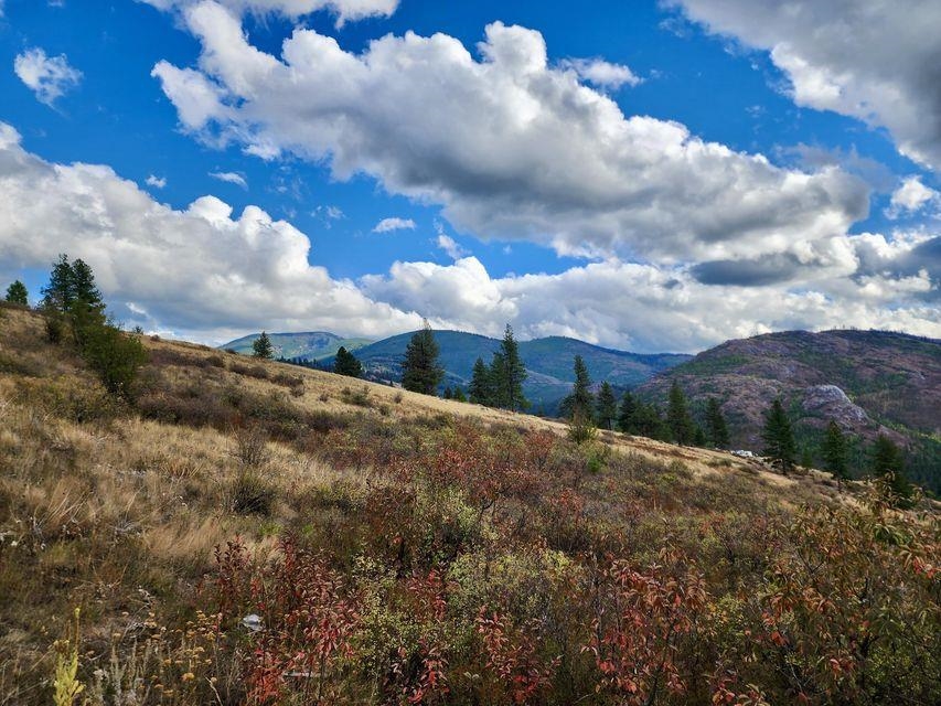 140 Lambert Mountain Road Republic, WA 99166 - Photo 2 of 18