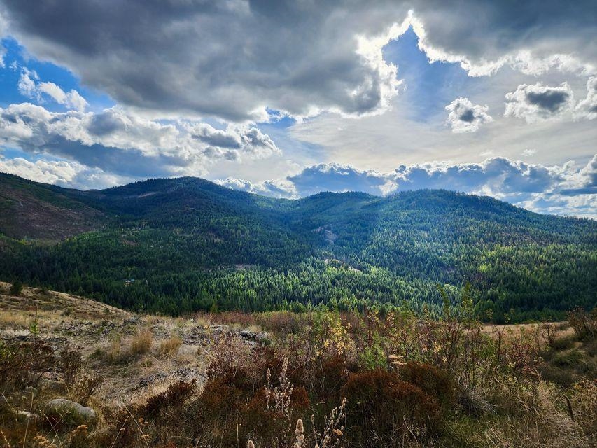 140 Lambert Mountain Road Republic, WA 99166 - Photo 3 of 18