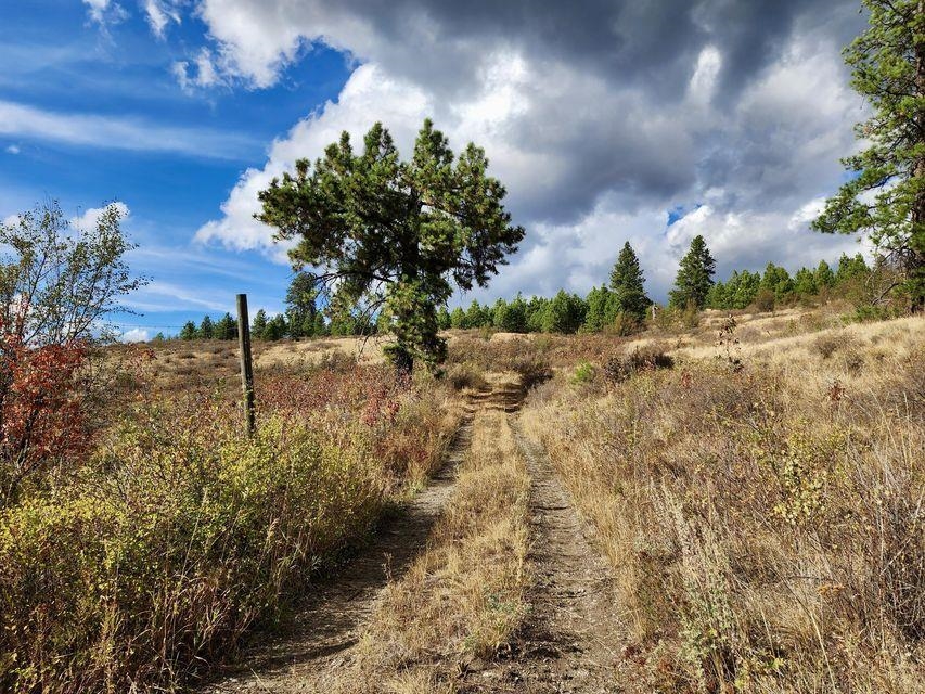140 Lambert Mountain Road Republic, WA 99166 - Photo 8 of 18