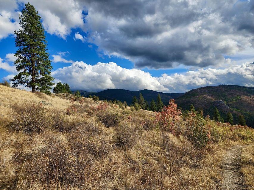 140 Lambert Mountain Road Republic, WA 99166 - Photo 9 of 18