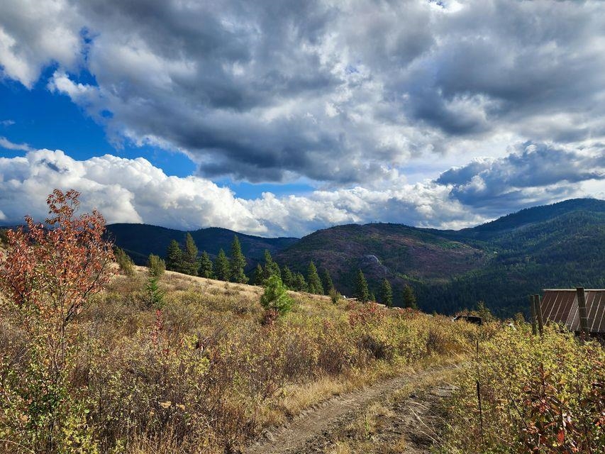 140 Lambert Mountain Road Republic, WA 99166 - Photo 10 of 18