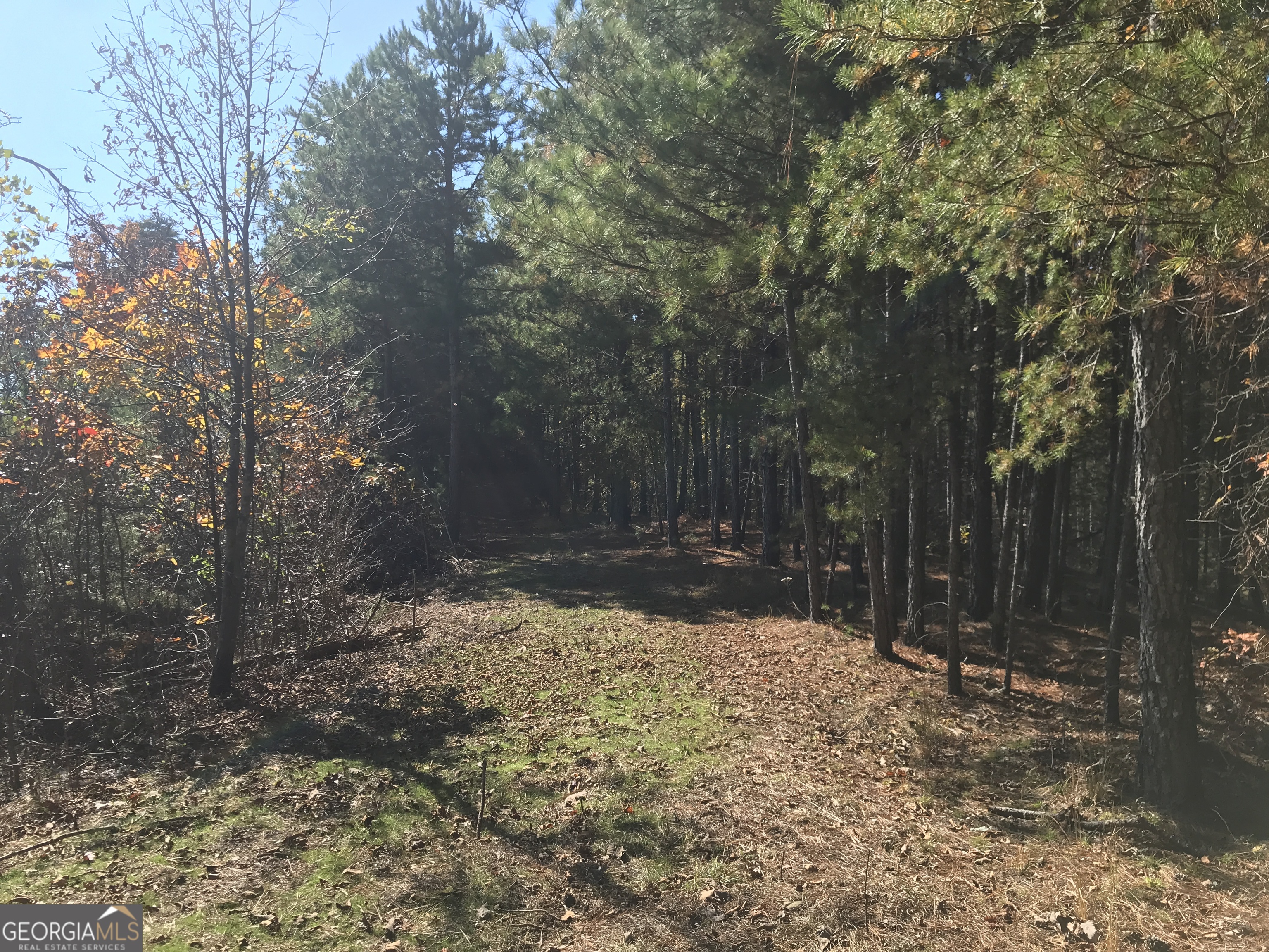 0 Old Oakman Road Northeast, Unit 9628A Ranger, GA 30734 - Photo 11 of 17