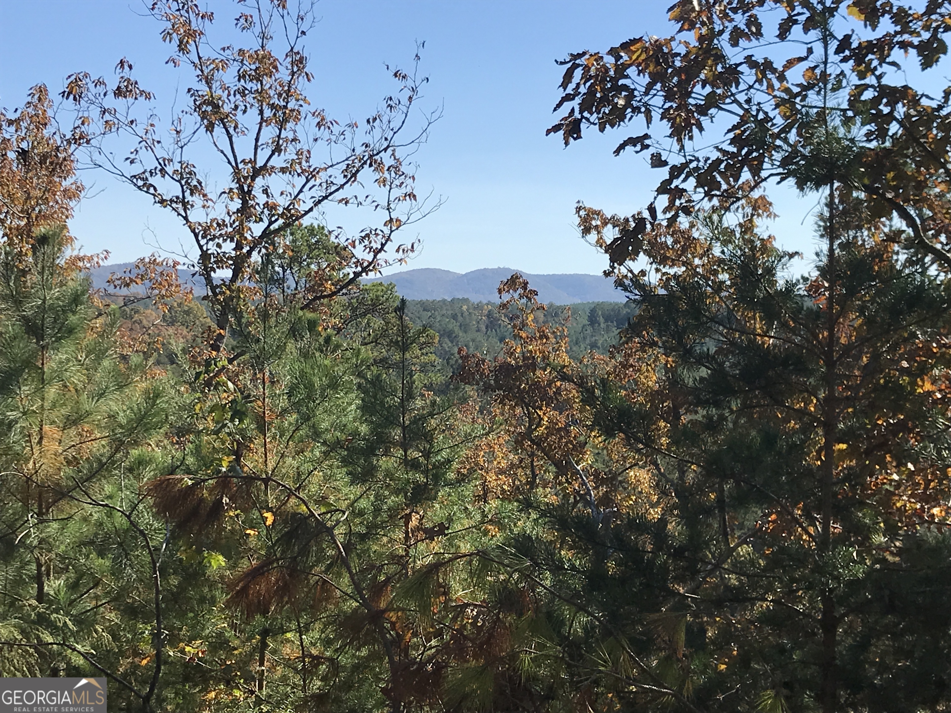 0 Old Oakman Road Northeast, Unit 9628A Ranger, GA 30734 - Photo 12 of 17