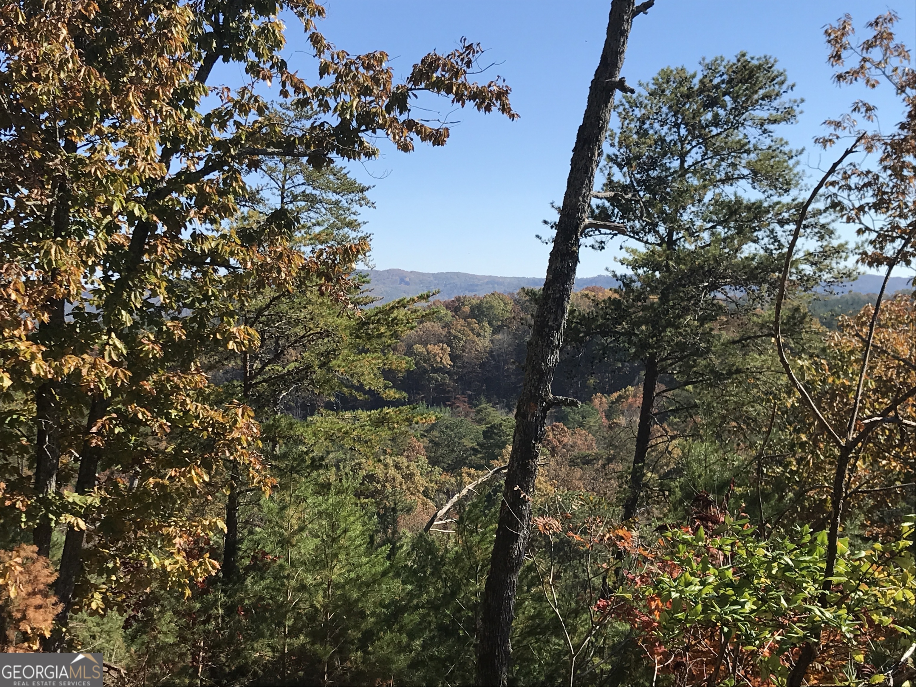 0 Old Oakman Road Northeast, Unit 9628A Ranger, GA 30734 - Photo 13 of 17