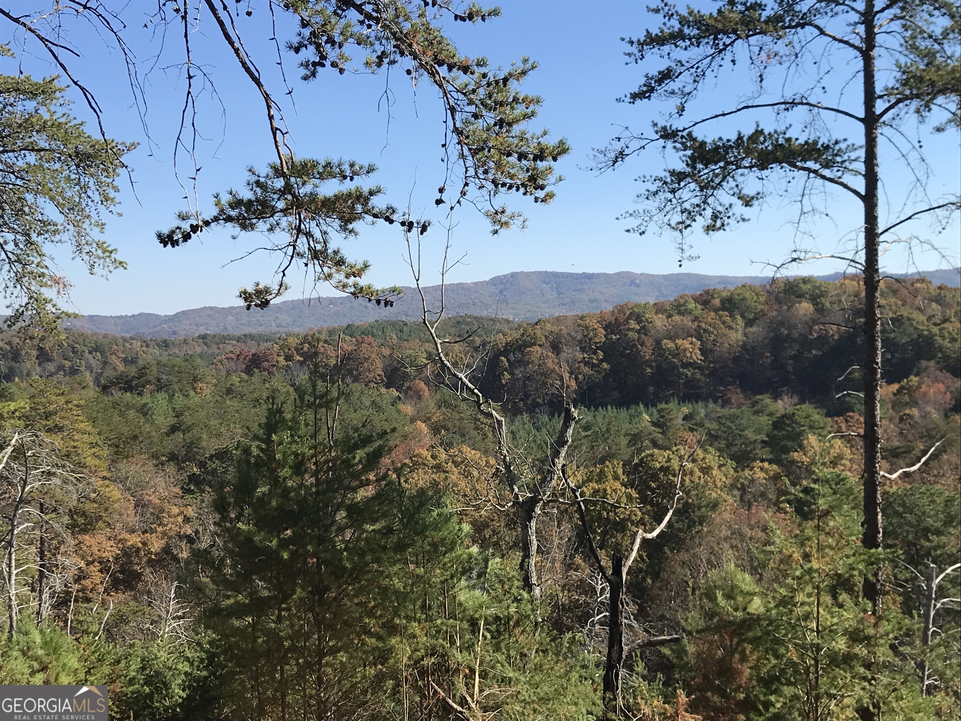 0 Old Oakman Road Northeast, Unit 9628A Ranger, GA 30734 - Photo 14 of 17