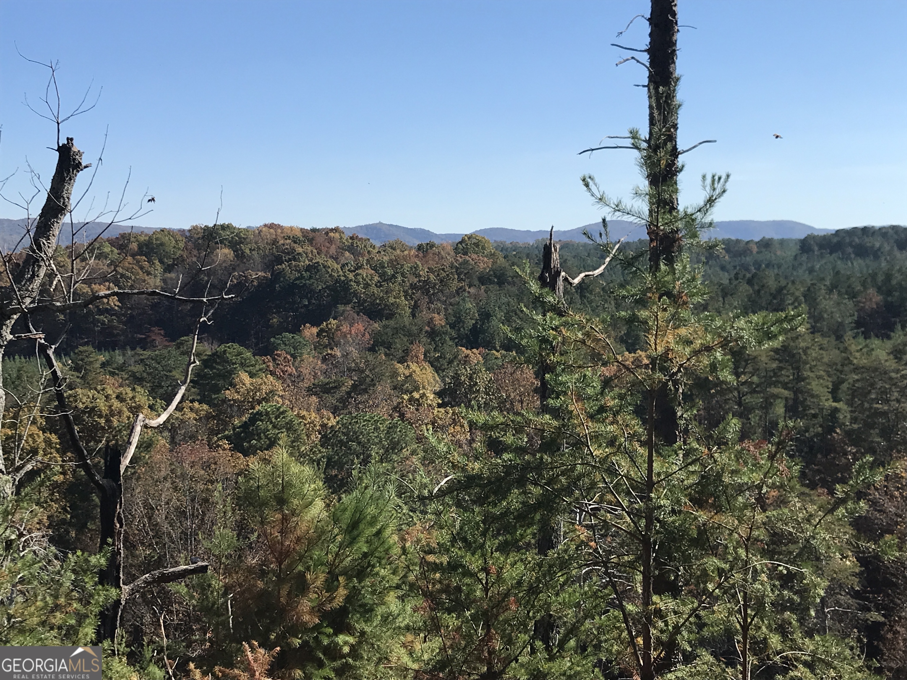 0 Old Oakman Road Northeast, Unit 9628A Ranger, GA 30734 - Photo 15 of 17