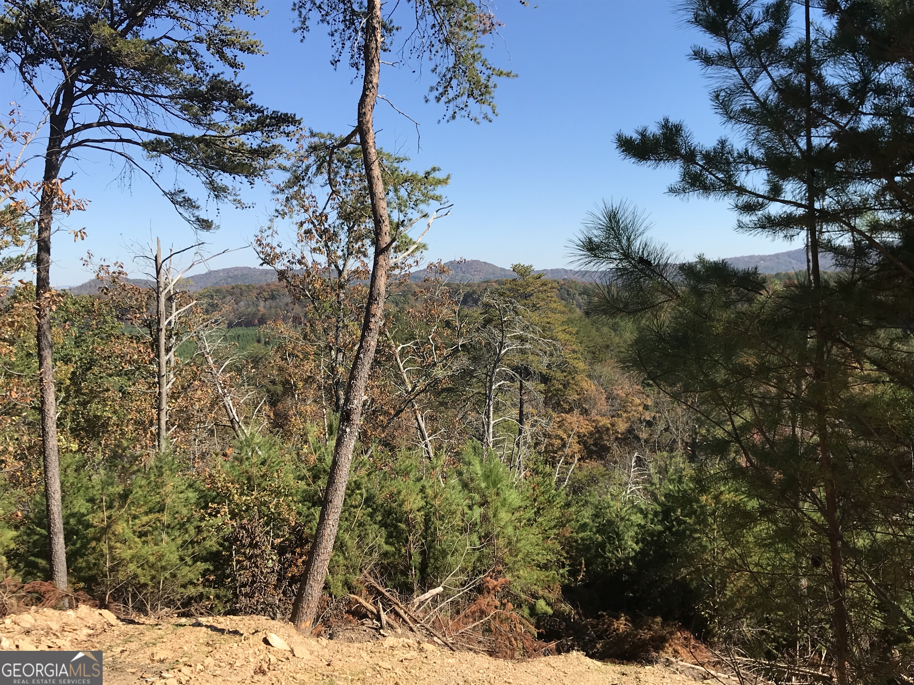 0 Old Oakman Road Northeast, Unit 9628A Ranger, GA 30734 - Photo 16 of 17