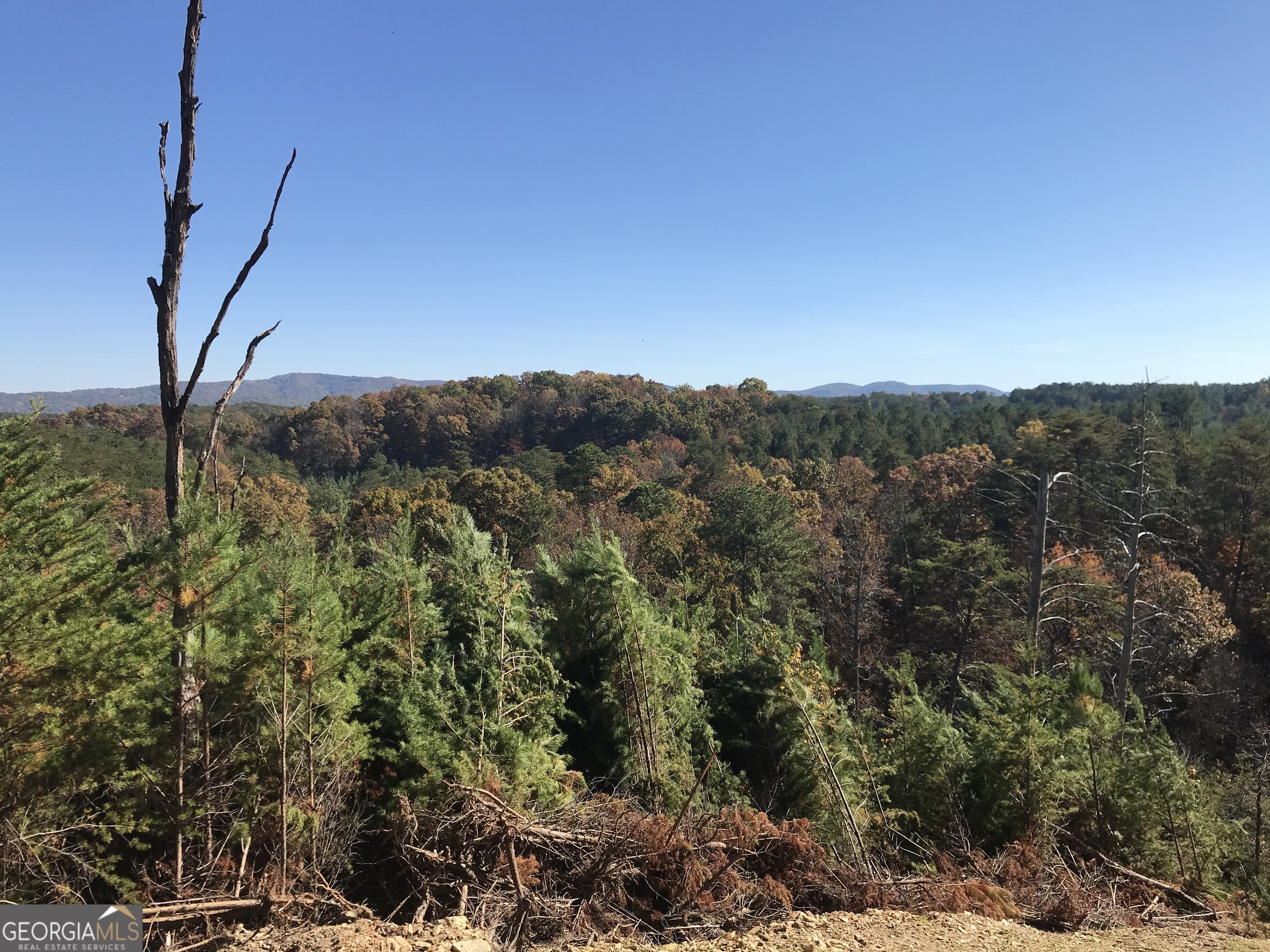 0 Old Oakman Road Northeast, Unit 9628A Ranger, GA 30734 - Photo 17 of 17