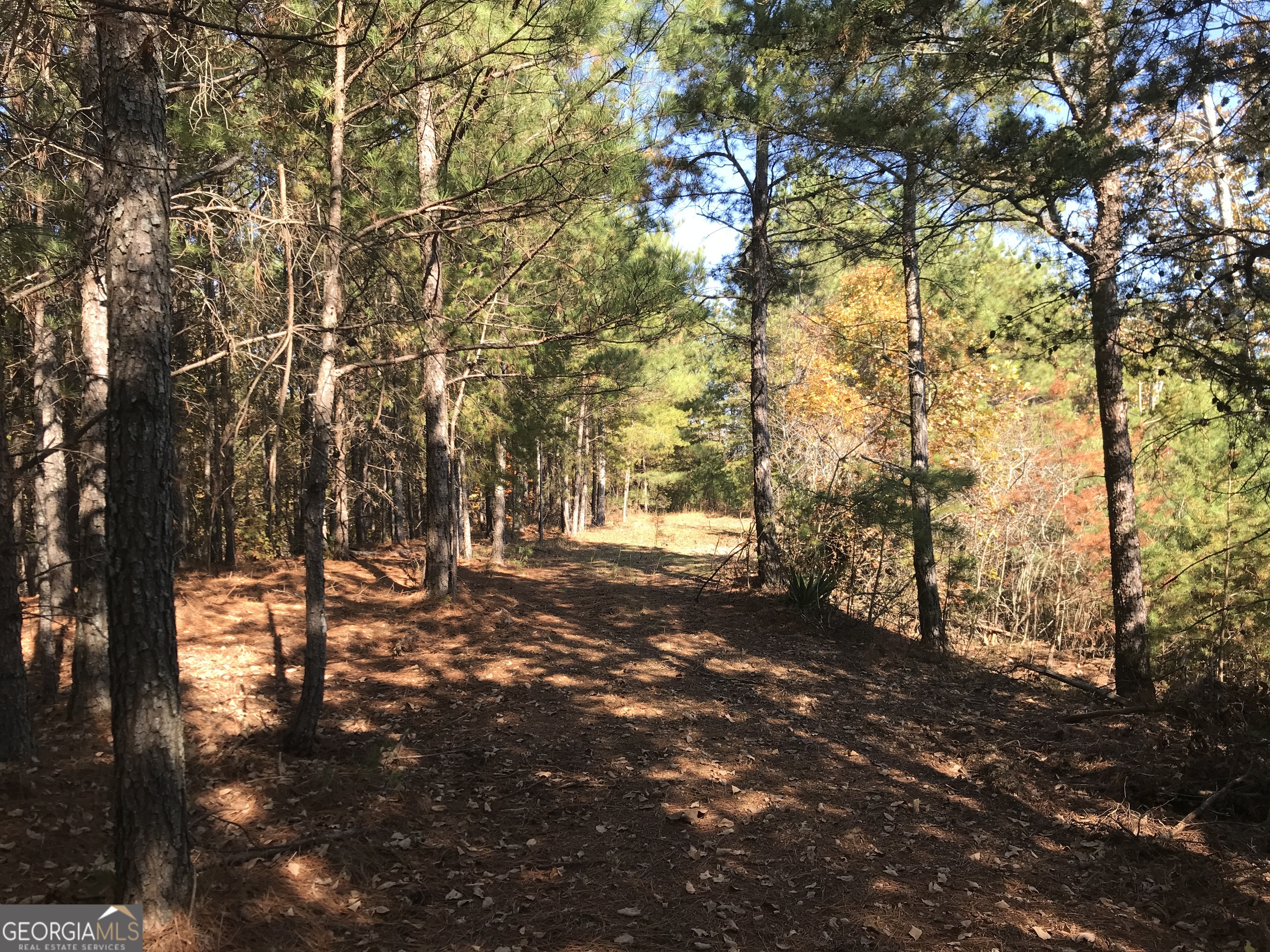 0 Old Oakman Road Northeast, Unit 9628A Ranger, GA 30734 - Photo 5 of 17