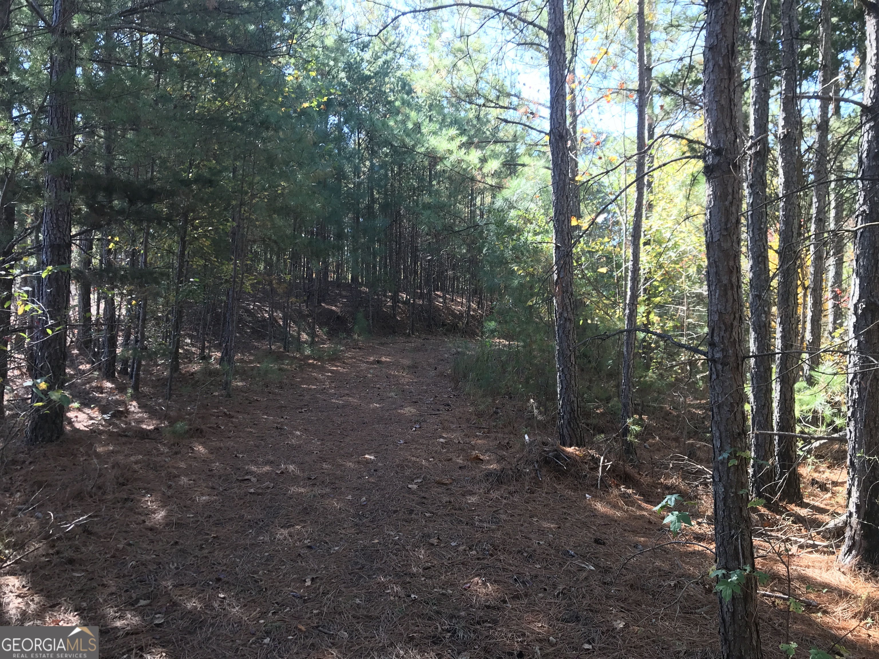 0 Old Oakman Road Northeast, Unit 9628A Ranger, GA 30734 - Photo 7 of 17