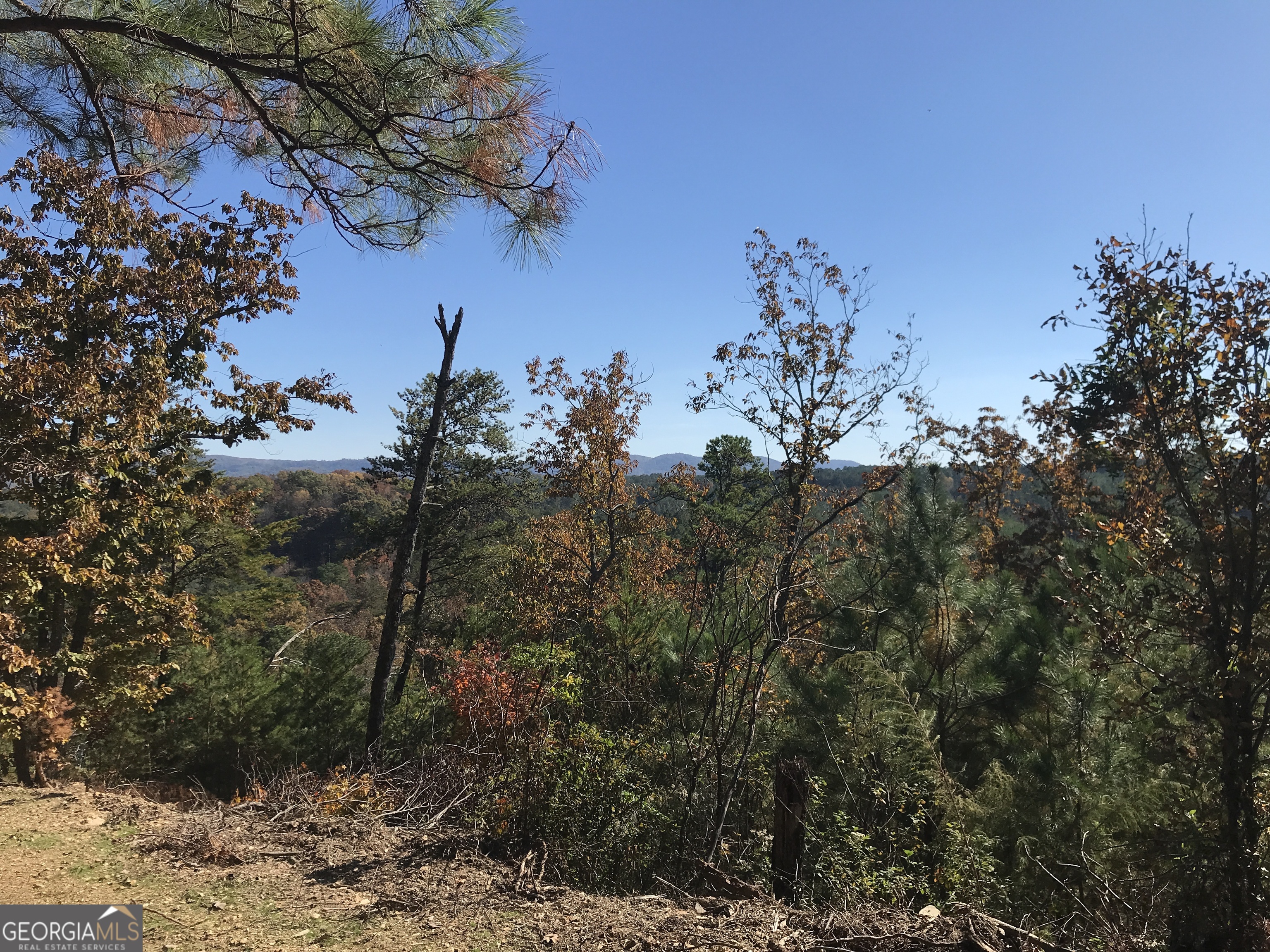 0 Old Oakman Road Northeast, Unit 9628A Ranger, GA 30734 - Photo 8 of 17