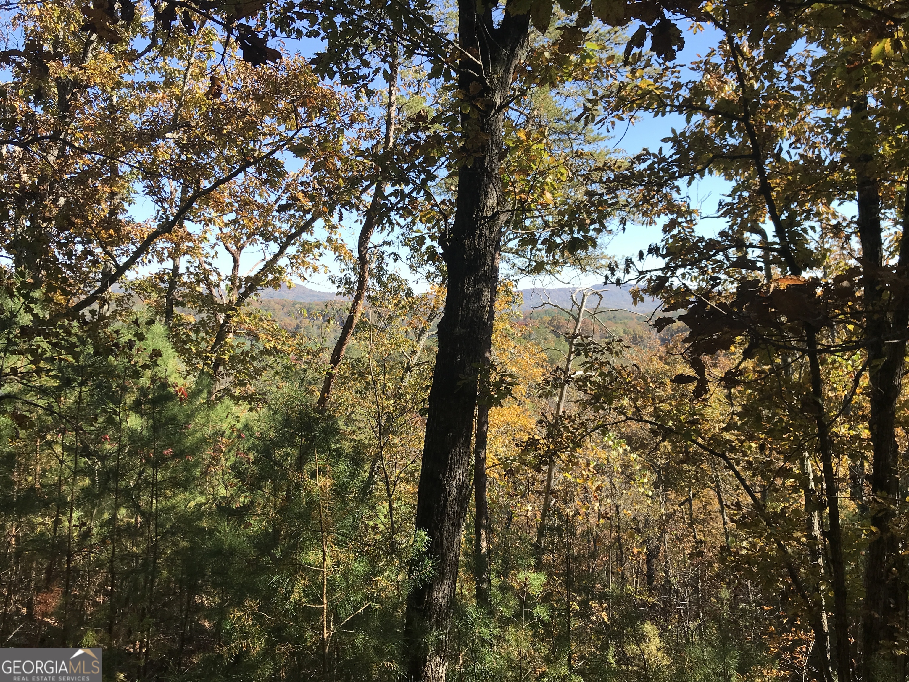 0 Old Oakman Road Northeast, Unit 9628A Ranger, GA 30734 - Photo 9 of 17