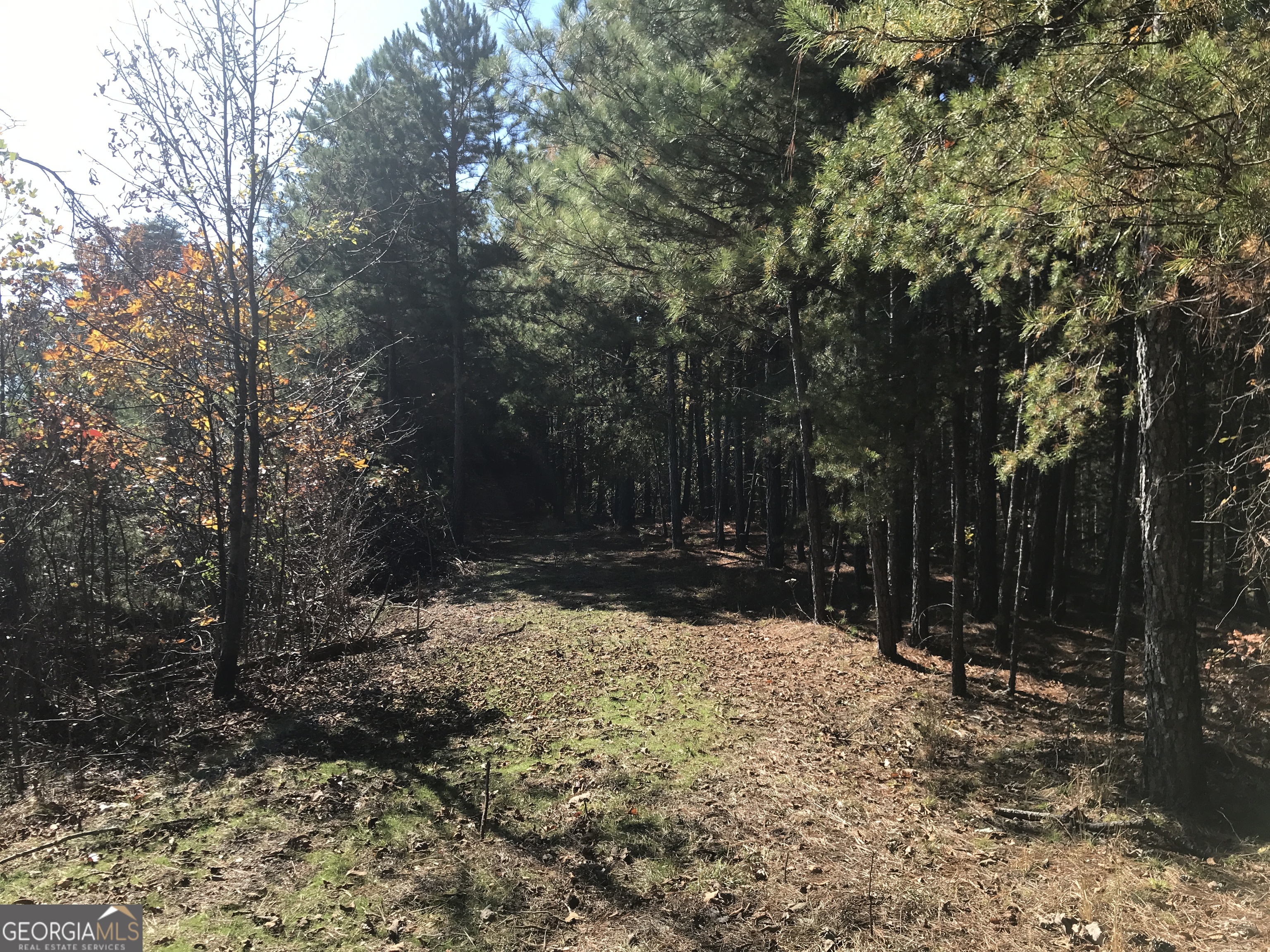 0 Old Oakman Road Northeast, Unit 9628A Ranger, GA 30734 - Photo 10 of 17